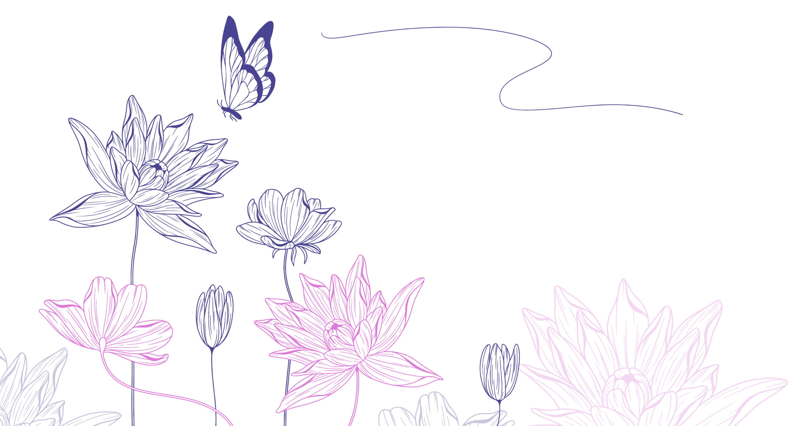msnflowr